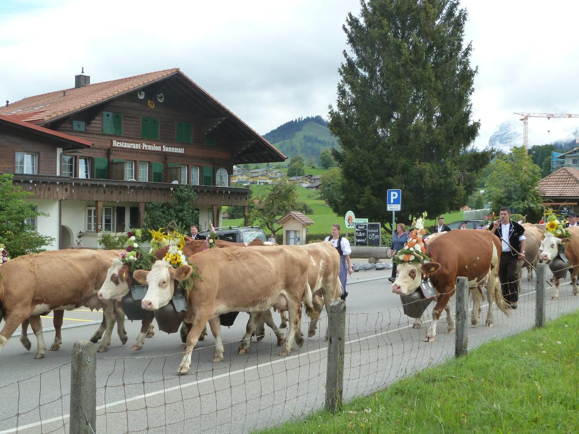 Hotel Restaurant Sunnmatt Aeschi Bei Spiez Экстерьер фото