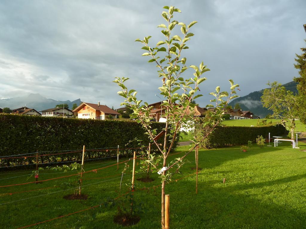 Hotel Restaurant Sunnmatt Aeschi Bei Spiez Экстерьер фото
