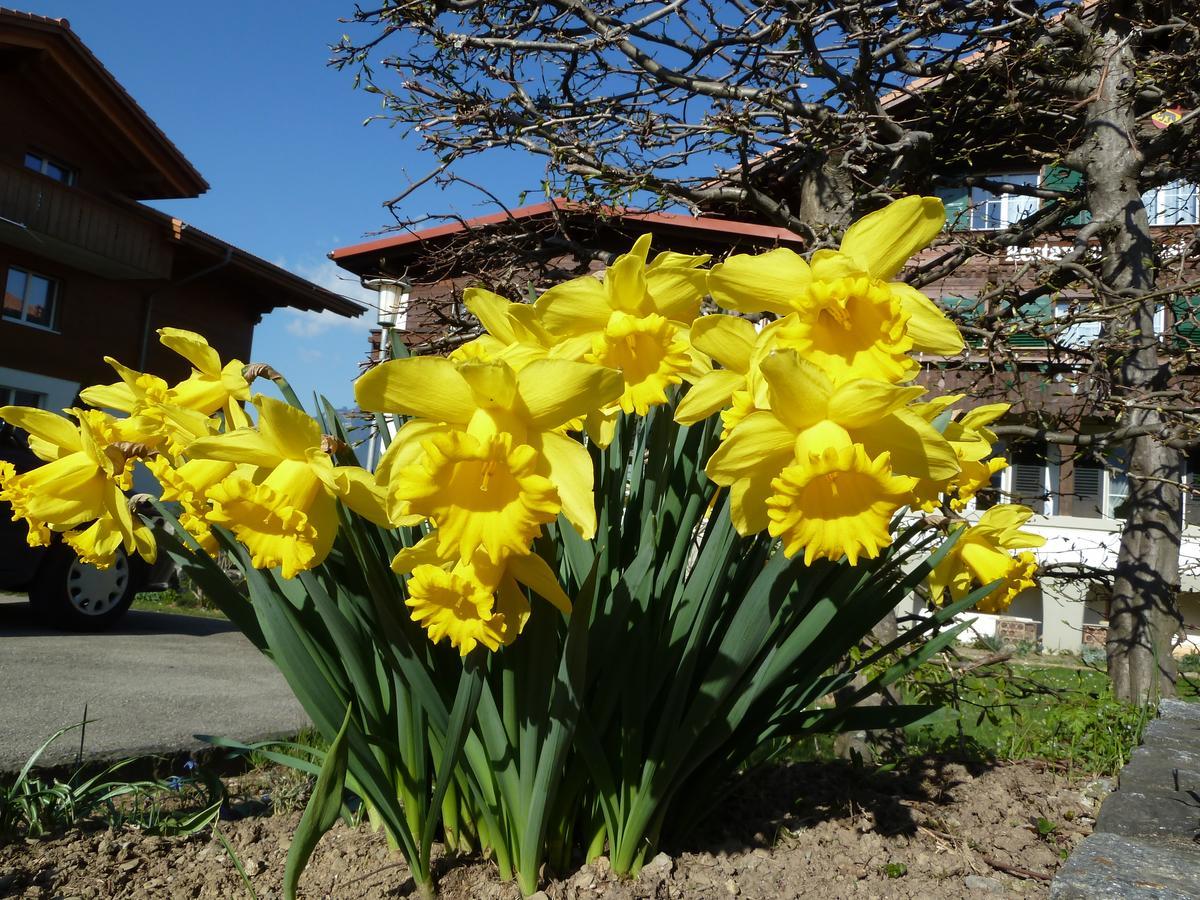 Hotel Restaurant Sunnmatt Aeschi Bei Spiez Экстерьер фото